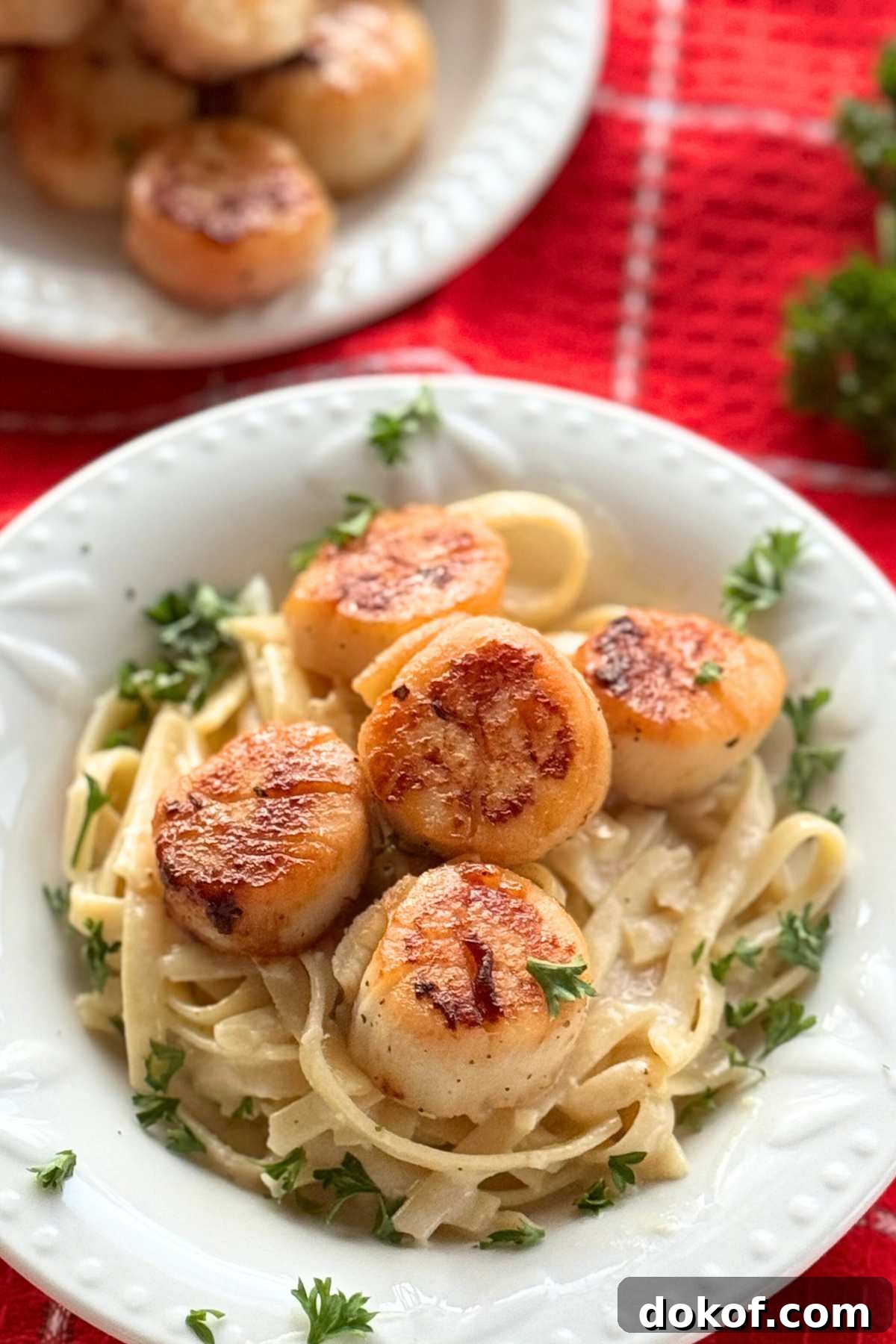 Bowl with creamy fettuccine alfredo topped with seared-scallops and parsley with a plate with more cooked scallops behind it.