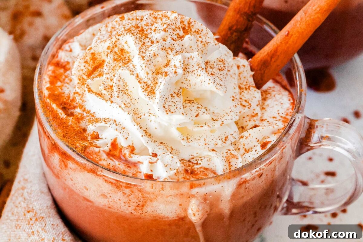 Cozy Cinnamon Hot Chocolate Recipe for Warm Winter Nights 3 Close-up of a glass mug filled with rich Cinnamon Hot Chocolate topped with whipped cream and a dusting of cinnamon.