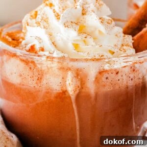 Cozy Cinnamon Hot Chocolate Recipe for Warm Winter Nights 8 Side view of a glass mug of hot chocolate overflowing slightly with whipped cream and sprinkled cinnamon for a cozy, homemade look.