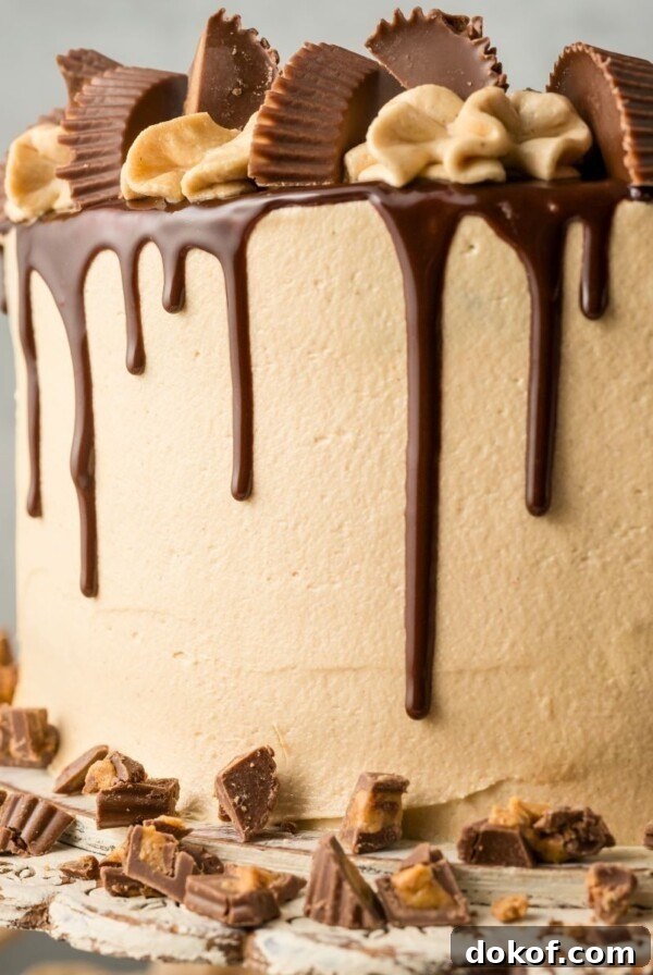 Chocolate cake covered in peanut butter frosting with a chocolate ganache drizzle down the sides.
