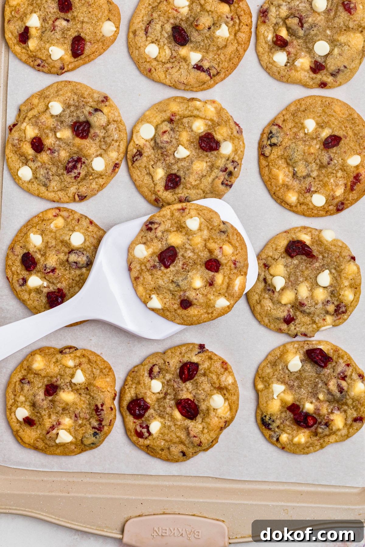 Freshly baked golden cookies with a cookie being lifted up off a the baking sheet on a white spatula. 