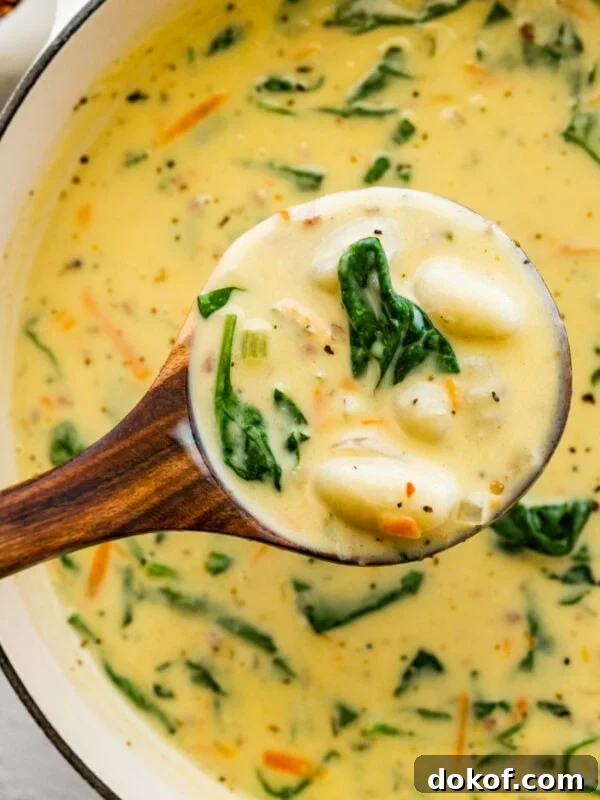 a wooden ladle serving the gnocchi soup over the soup pot.