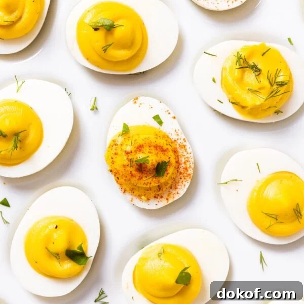 Top down view of white plate filled with deviled eggs filled with yellow colored creamy filling and topped with paprika and dill