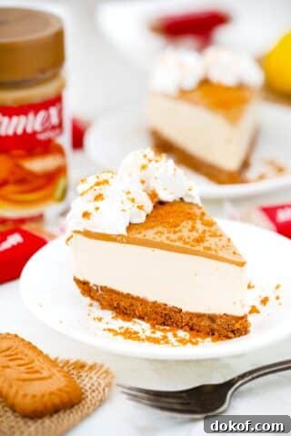 a slice of no bake biscoff cheesecake topped with whipped cream with a jar of biscoff next to it