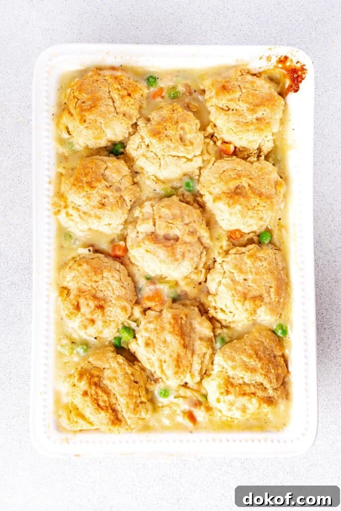 Comforting Chicken and Dumpling Casserole Recipe for Dinner 6 overhead view of chicken and dumpling casserole