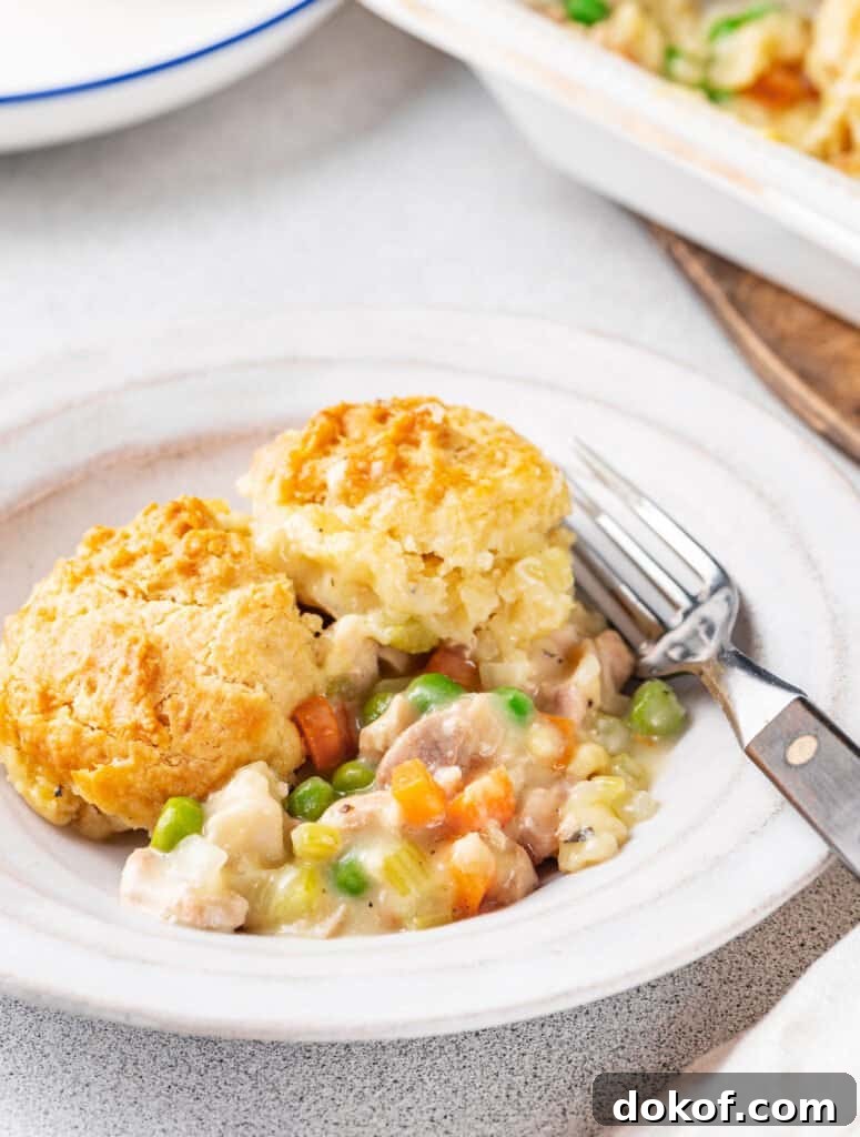 Comforting Chicken and Dumpling Casserole Recipe for Dinner 7 a plate of chicken and dumpling casserole