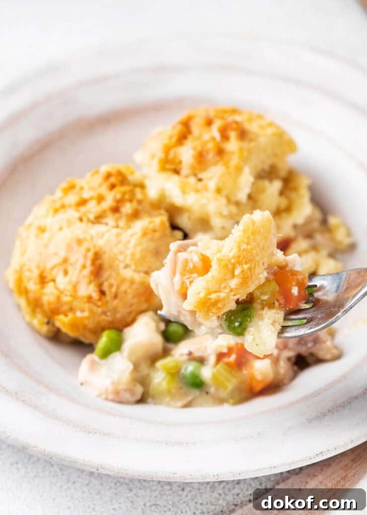 Comforting Chicken and Dumpling Casserole Recipe for Dinner 8 casserole on a fork