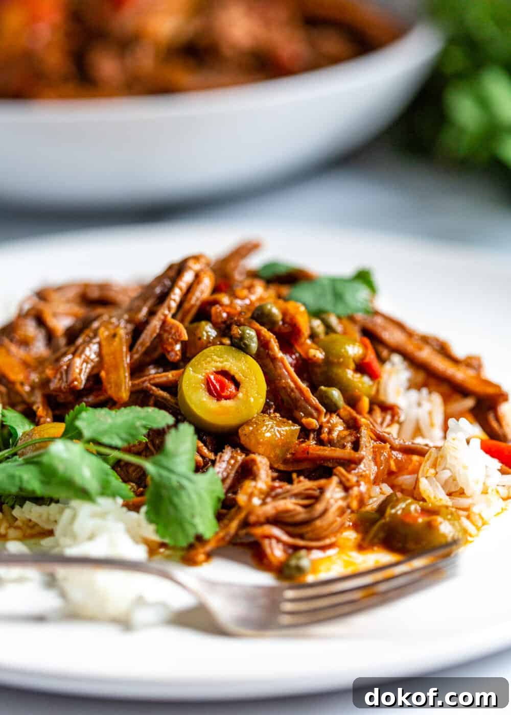 Authentic Cuban Ropa Vieja Recipe: Classic Shredded Beef Stew 7 plate of Cuban Ropa Vieja with rice