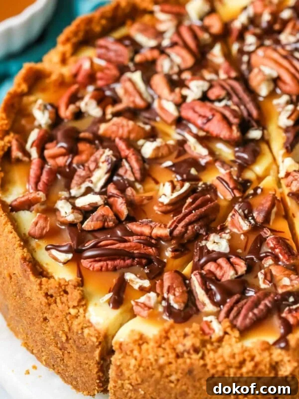 Turtle cheesecake with one slice cut but not removed.