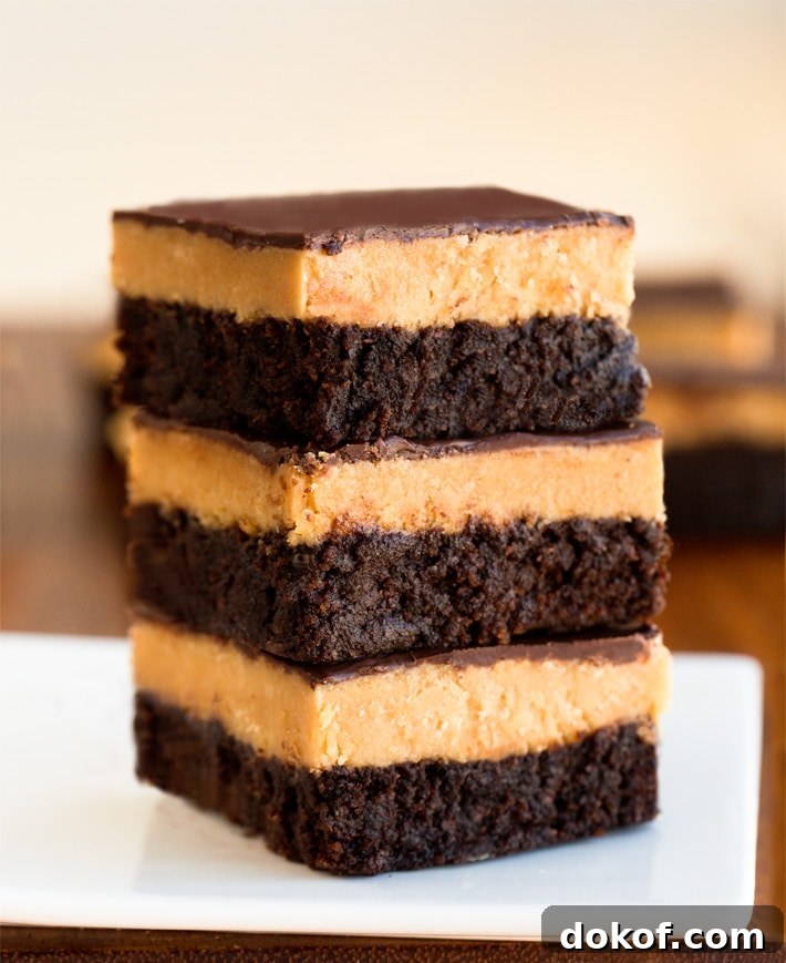 Easy Peanut Butter Brownies Recipe