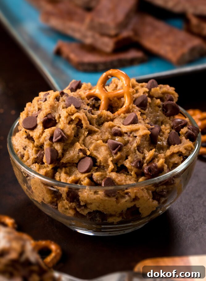 Chocolate Chip Dessert Dip with peanut butter and pretzels