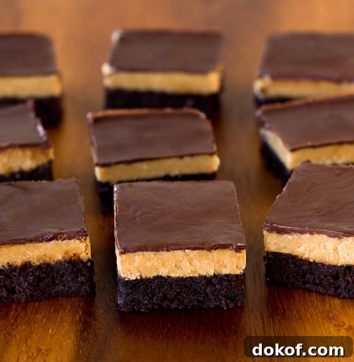 Vegan Peanut Butter Brownies
