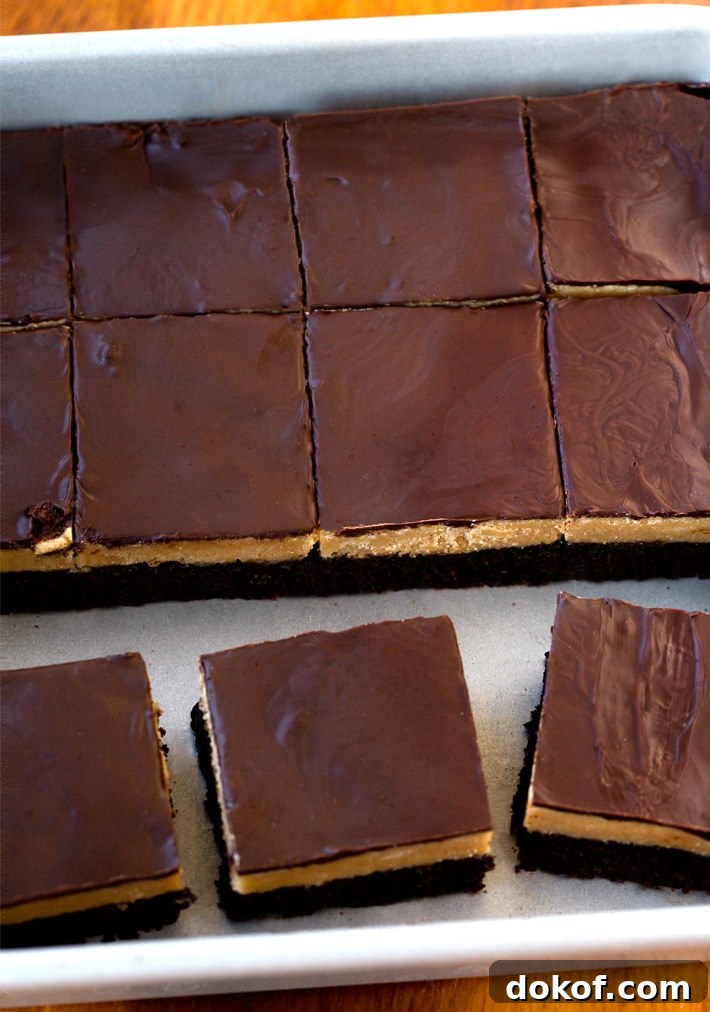 Vegan Chocolate Peanut Butter Brownie Bars