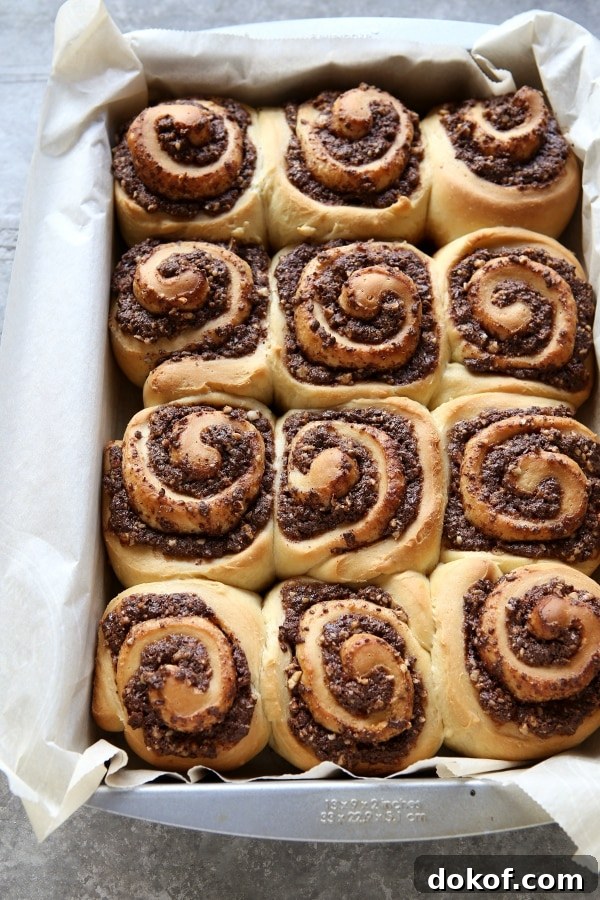 Chocolate Hazelnut Sweet Rolls | completelydelicious.com