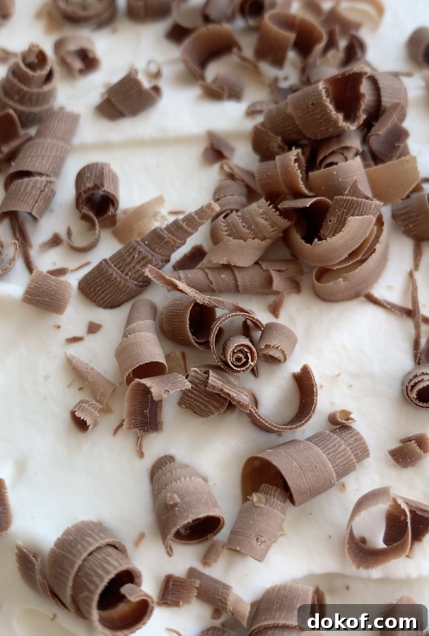 chocolate shavings | NoBiggie.net
