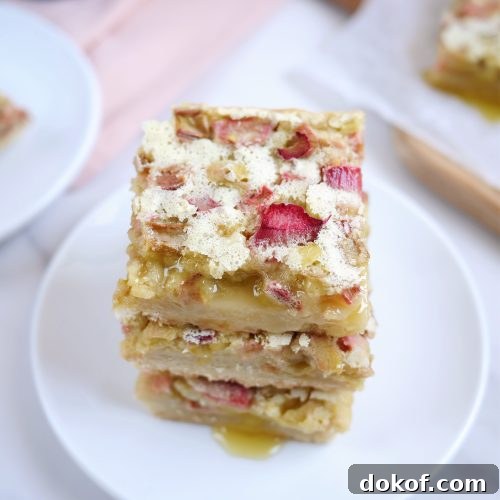 Rhubarb Custard Bars with Crumb Topping