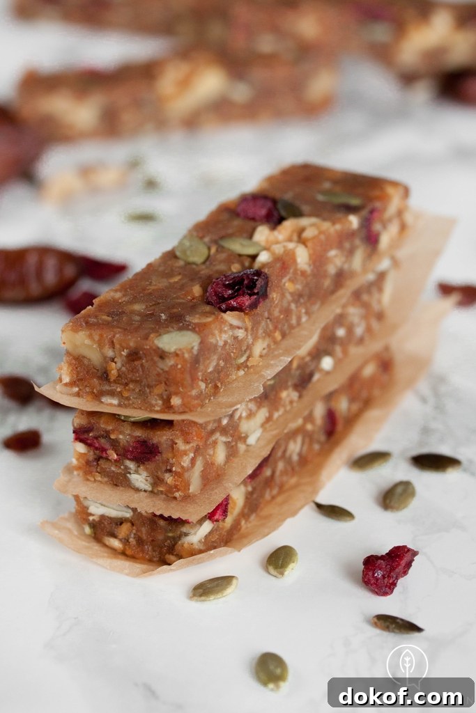 Cranberry Seed No-Bake Breakfast Bars Recipe 5 No-Bake Breakfast Bars