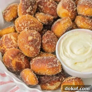 Cinnamon Sugar Pretzel Bites Recipe — Soft, Sweet Snack 2 img 66417 8