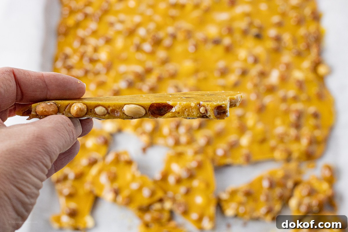 hand holding up a piece of broken peanut brittle