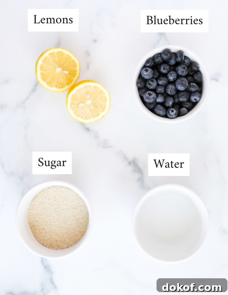 Refreshing Blueberry Lemonade Recipe with Fresh Lemon Zest 3 Labeled ingredients including: lemons, blueberries, sugar, and water.