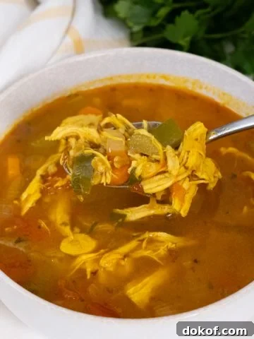 bowl of chicken and farro soup