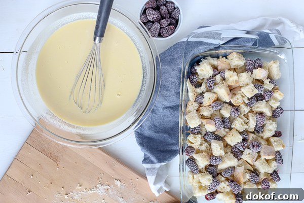 Bread and blackberries in baking dish with custard filling in a bowl with a whisk
