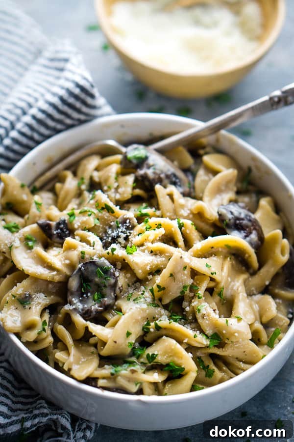 Vegetarian Mushroom Stroganoff