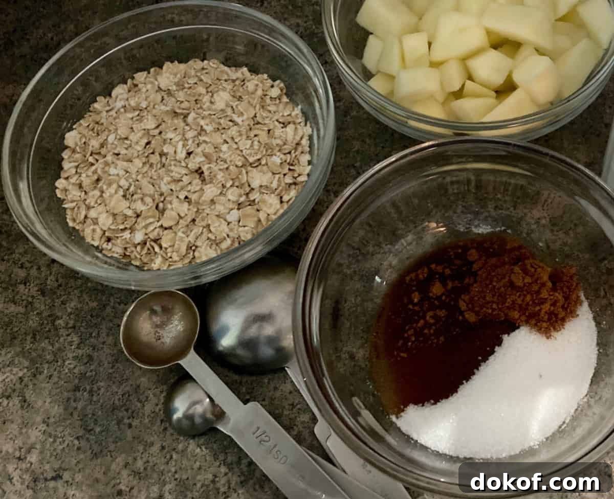 Ingredients for making apple oatmeal including rolled oats, chopped apple, cinnamon, vanilla and 0 calorie sweetener.