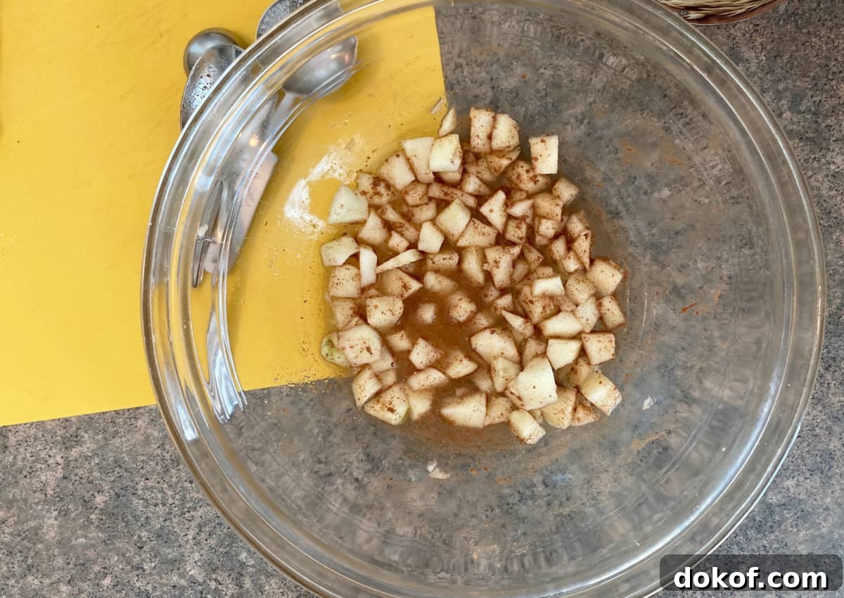 Glass bowl with chopped apple, cinnamon and sweetener, from above.