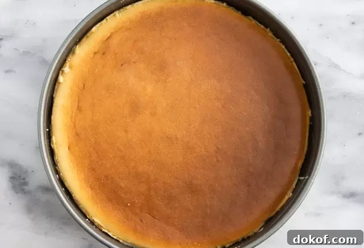 overhead photo of baked vanilla bean cheesecake