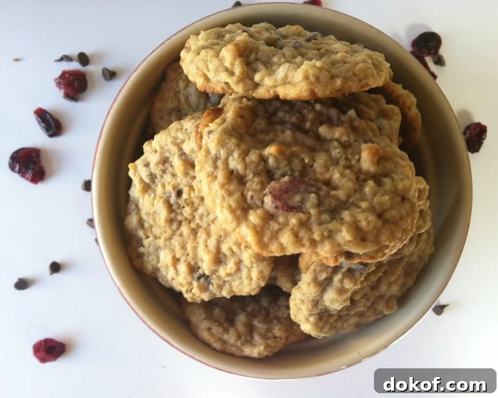 Loaded Oatmeal Cookies delicious
