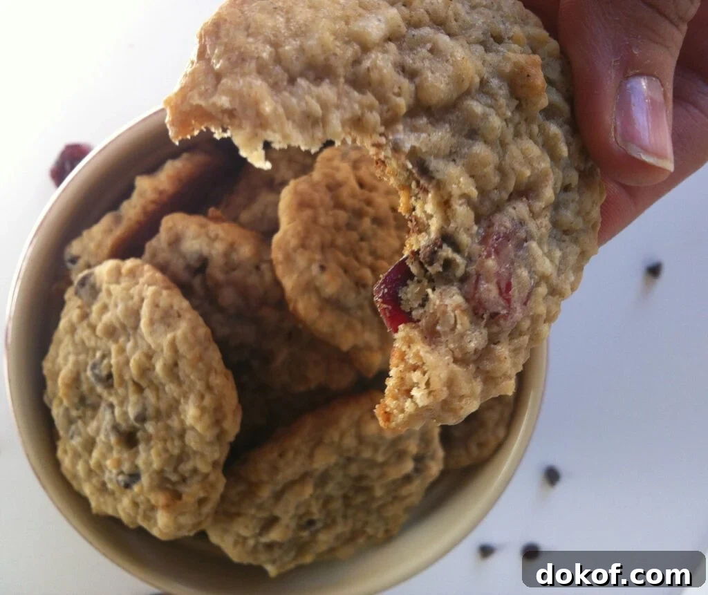 yummy Loaded Oatmeal Cookies