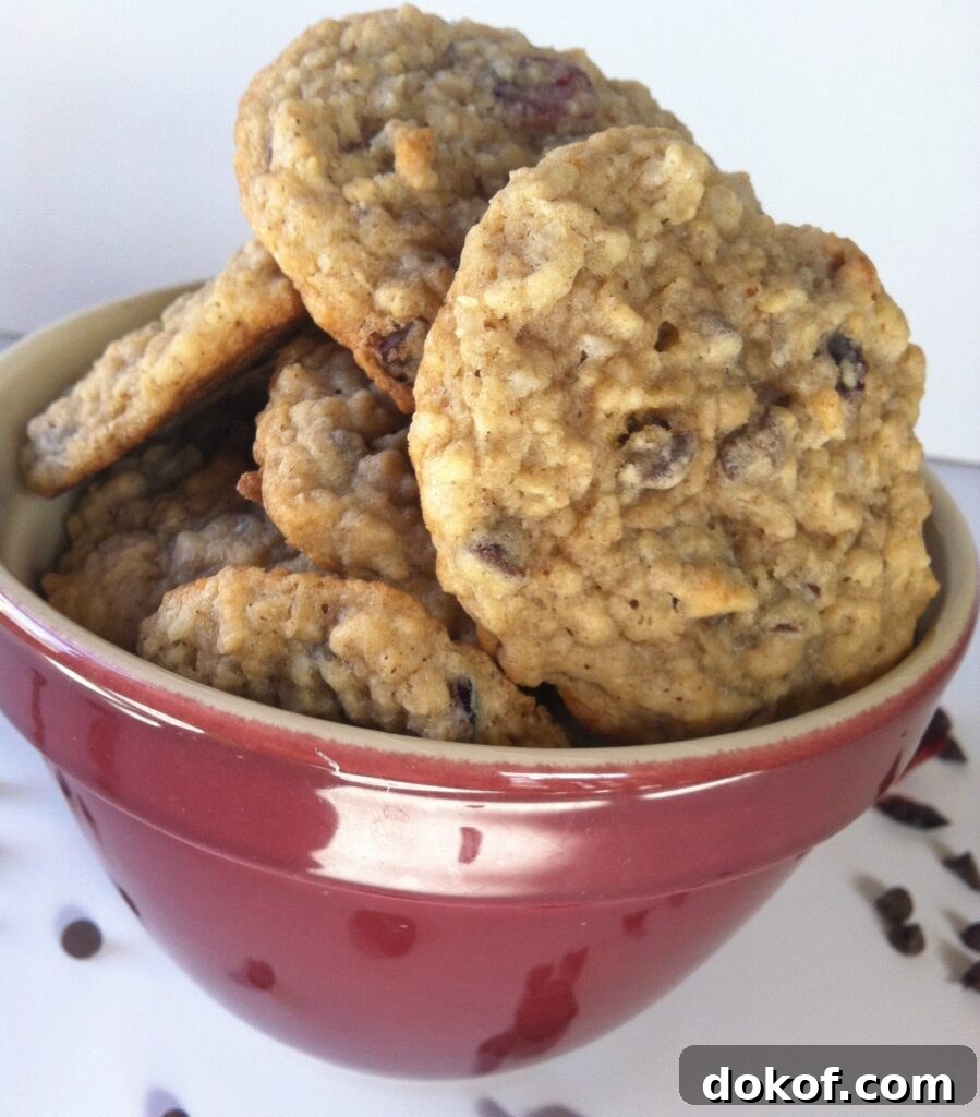 bowl of Loaded Oatmeal Cookies
