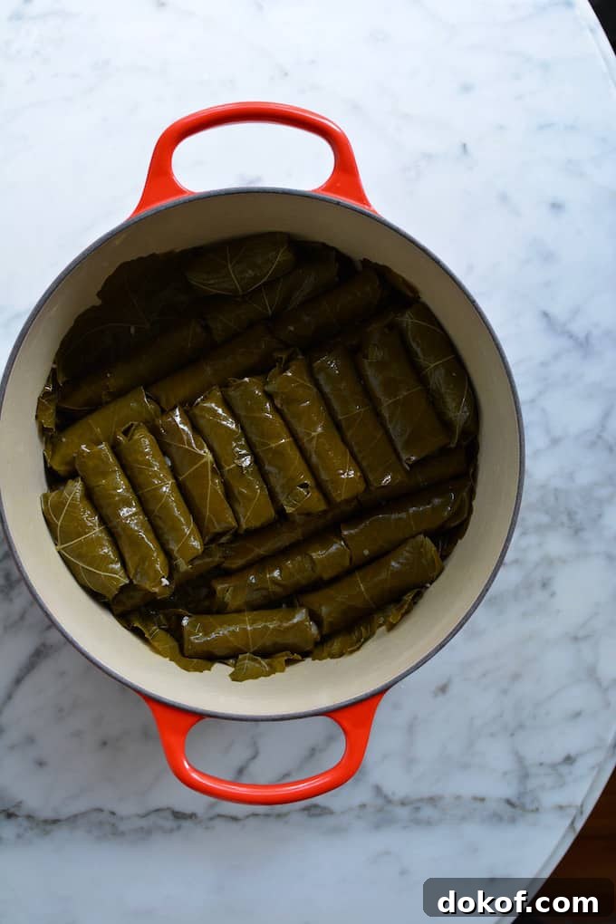 Meat-stuffed grape leaves on a plate