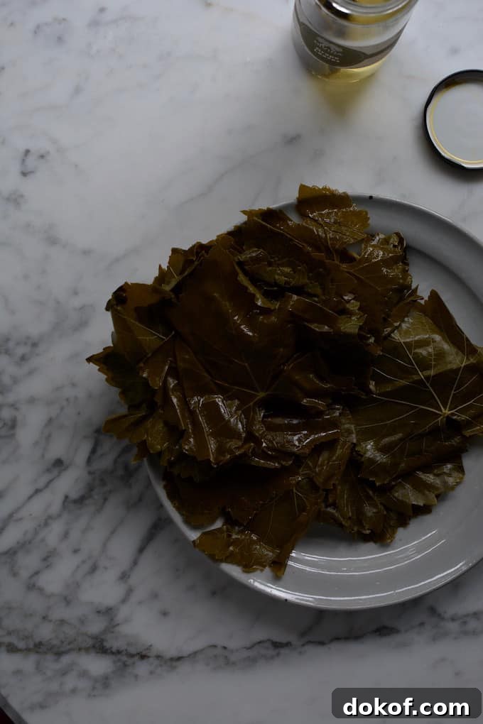 Tray of stuffed grape leaves