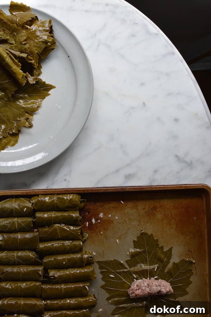 Stuffing grape leaves with meat mixture
