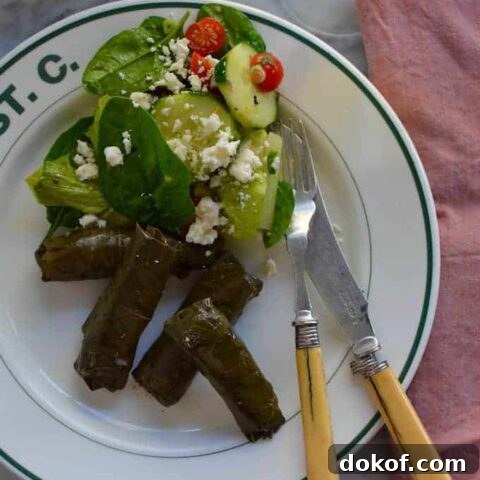 These meat-stuffed grape leaves make a tasty appetizer or the spotlight to a special dinner with warm pita bread, lemony cucumber salad, and creamy hummus.
