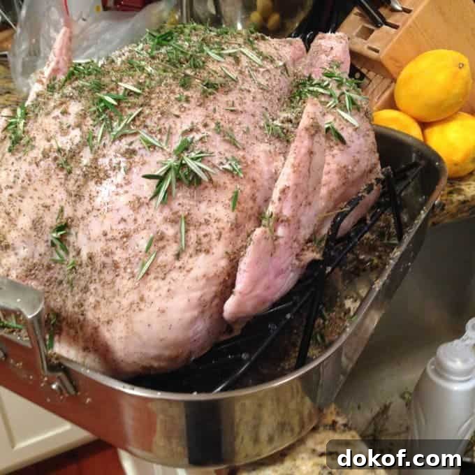 An uncooked turkey in a roasting pan