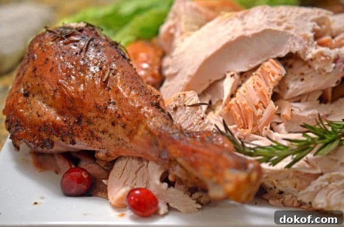 A close up of a turkey drumstick