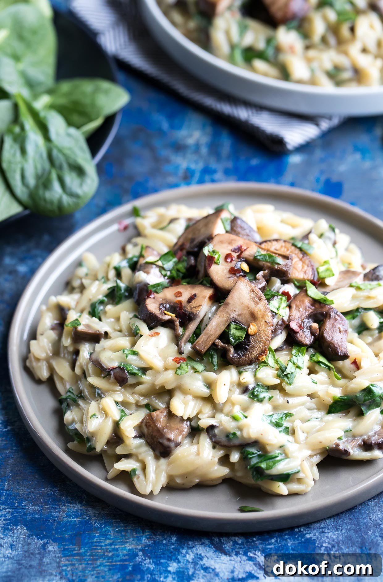 One-Pot Orzo Pasta with Garlic, Parmesan, and Mushrooms One-Pot Orzo Pasta