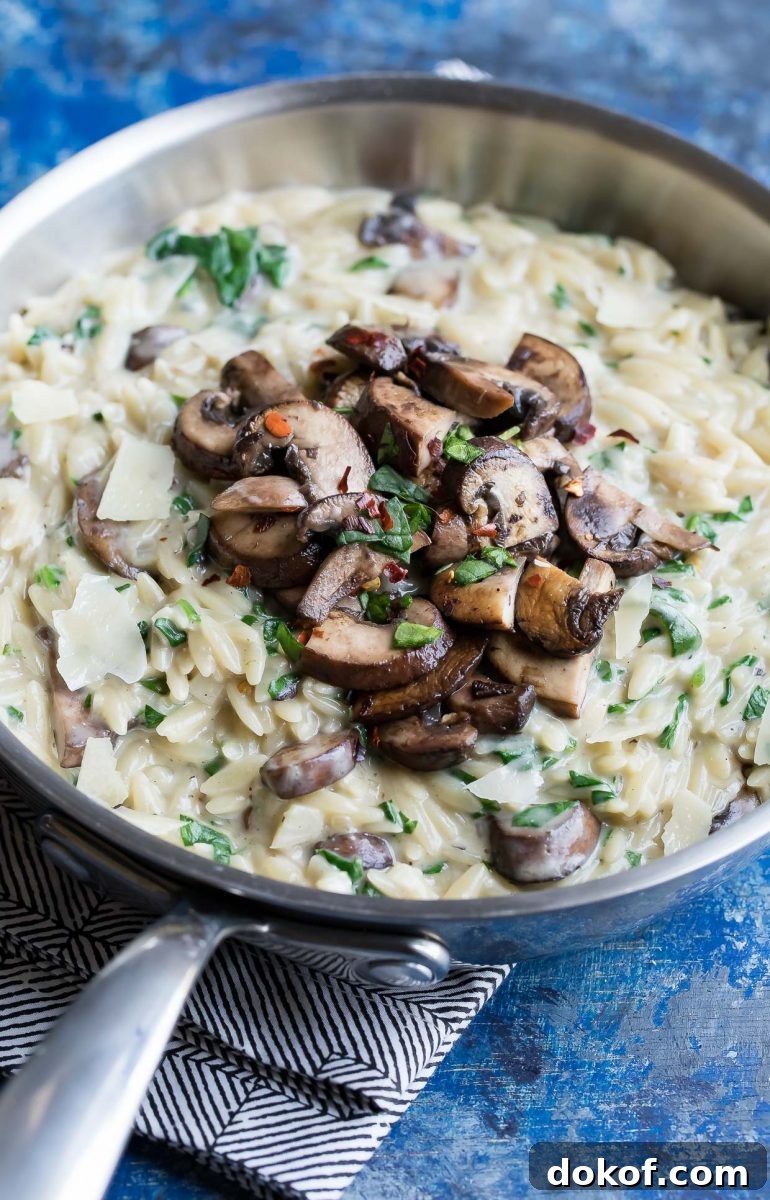 One-Pot Orzo Pasta with Garlic, Parmesan, and Mushrooms Cheesy Orzo Pasta with Mushrooms