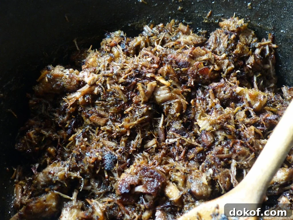 Carnitas starting to break down