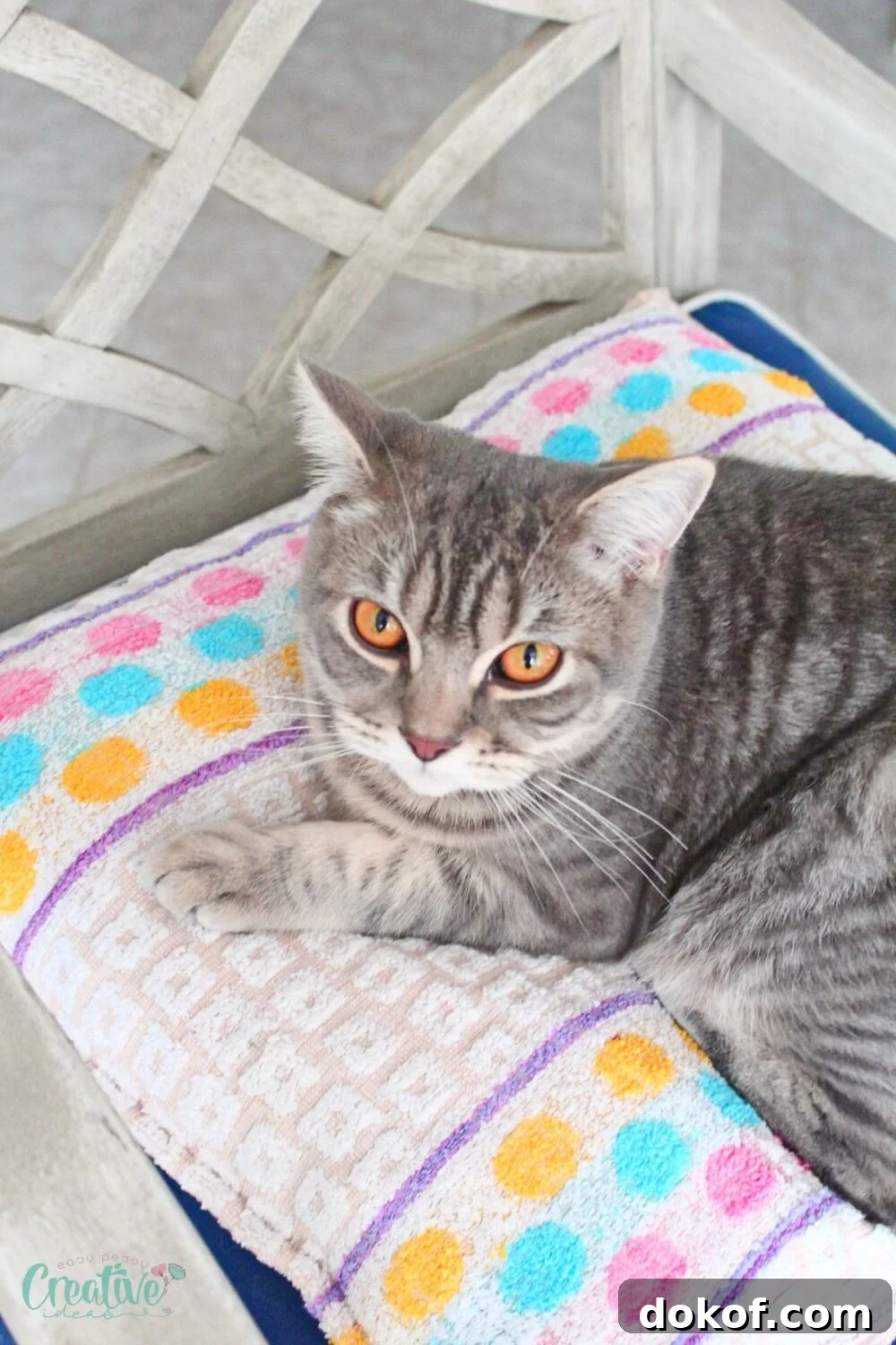 Create a comfy cat bed from a towel in minutes! DIY project for a purrfect spot that matches your home.