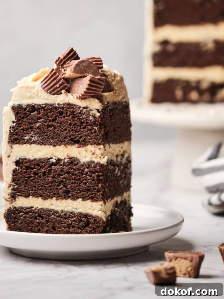 A large slice of chocolate cake with peanut butter frosting.