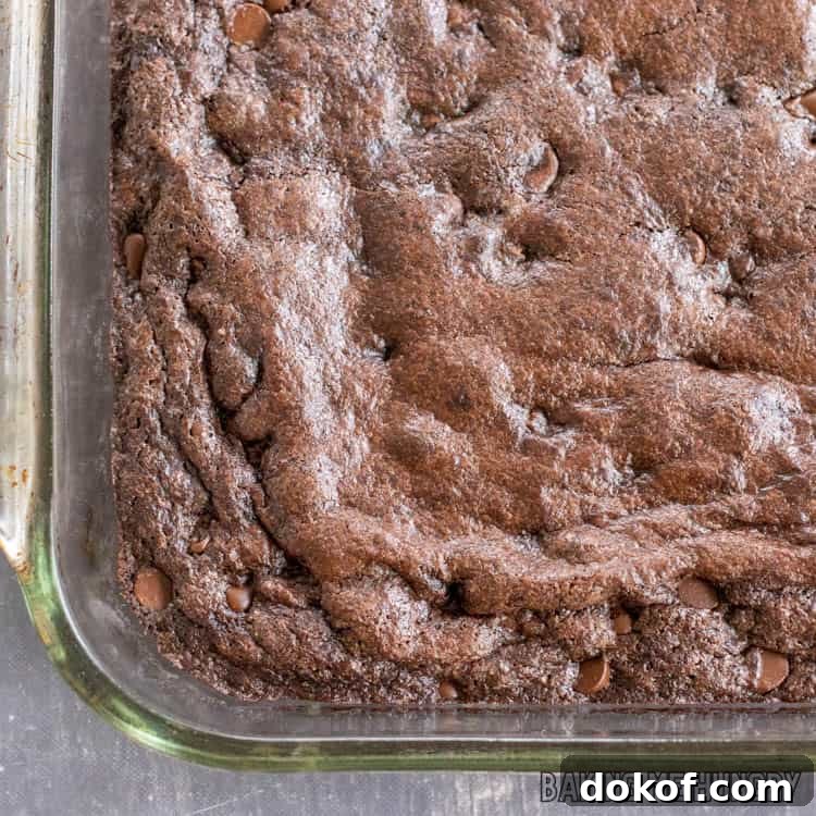 baked brownies in pan