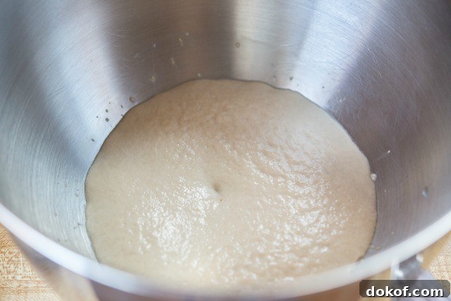 Focaccia Dough in Mixing Bowl