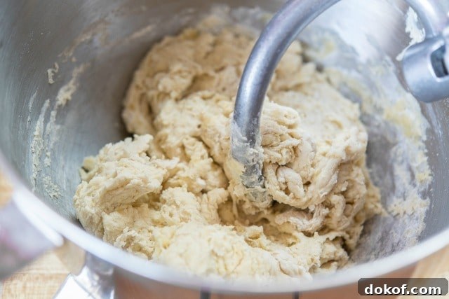 Foccacia Dough in Bowl with Dough Hook