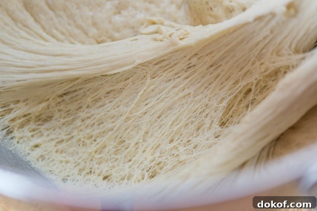 Risen and Webby Focaccia Dough Close Up View