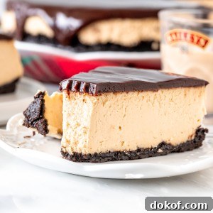 Piece of cheesecake with chocolate on top