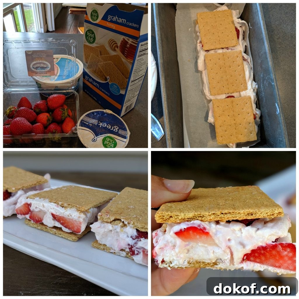 how to make low calorie low fat ice cream sandwiches